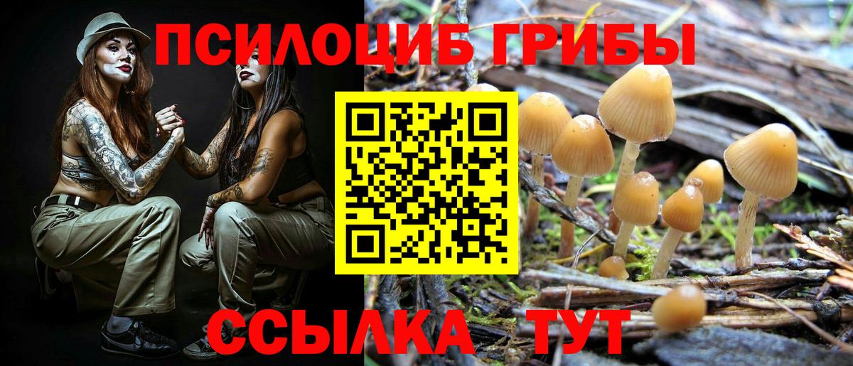 Галлюциногенные грибы мухоморы Псков
