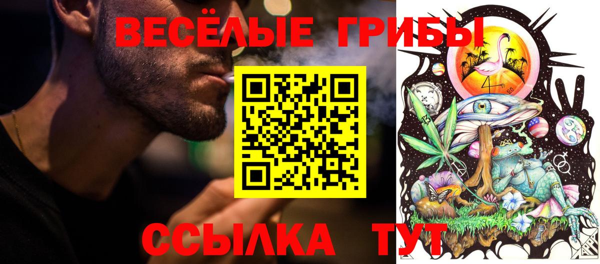 Галлюциногенные грибы Magic Shrooms  Вход с VPN  Галлюциногенные грибы Magic Shrooms  Псков 